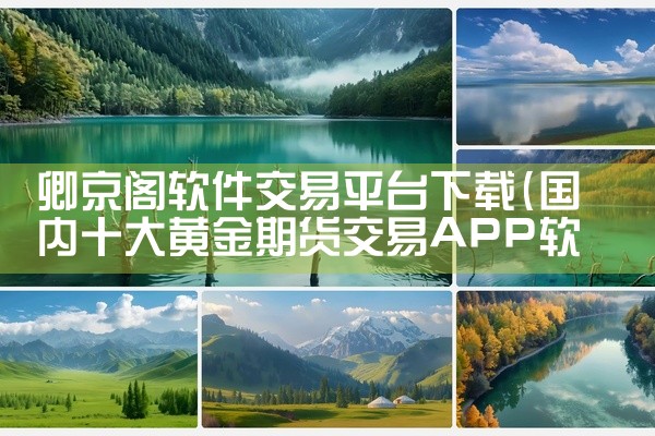 卿京阁软件交易平台下载