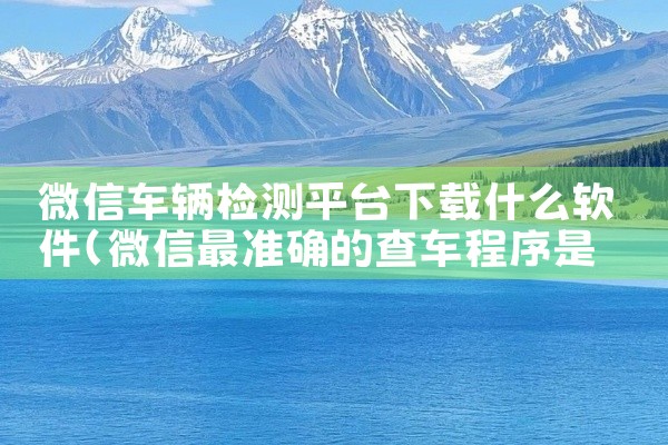 微信车辆检测平台下载什么软件