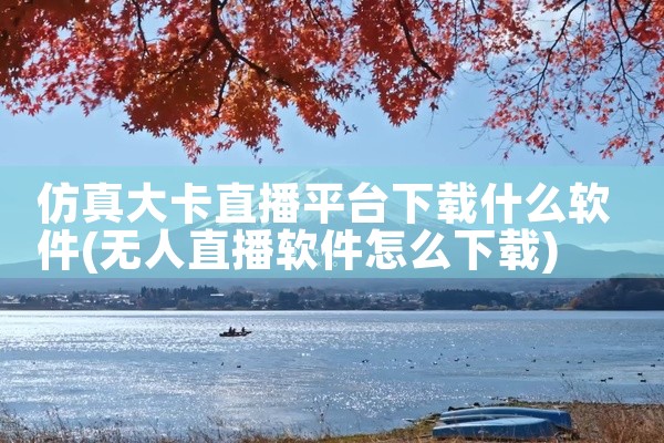仿真大卡直播平台下载什么软件