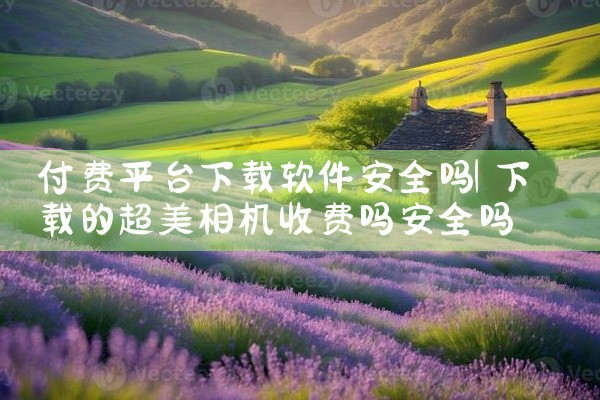 付费平台下载软件安全吗