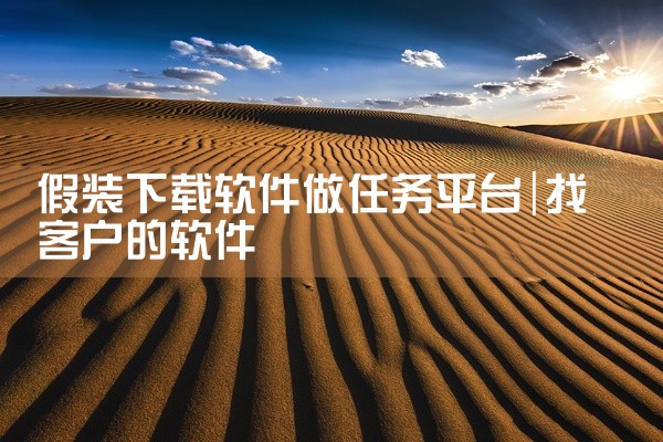 假装下载软件做任务平台