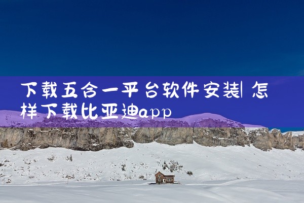 下载五合一平台软件安装