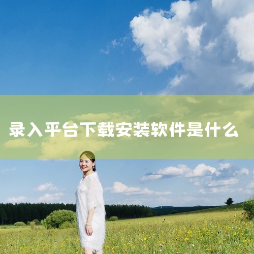 以下是一些手机打字录入打码平台：主流平台《EU 打码录入系统》：可在苹果、华为、小米等应用商店下载，搜索“EU 打码录入系统”或“EU 验证码助手”，适合验证码识别类任务。《打码兔打字平台》：专注手机|