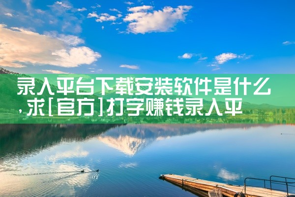 录入平台下载安装软件是什么