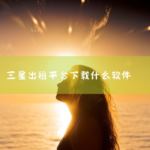01，大小199.39M；Samsung Pay app由三星联合中国银联推出，提供商店购物快捷付款和日常消费的手机支付服务。生活类：三星生活助手app版本为v8.9.10.3，大小69.86M；三星|